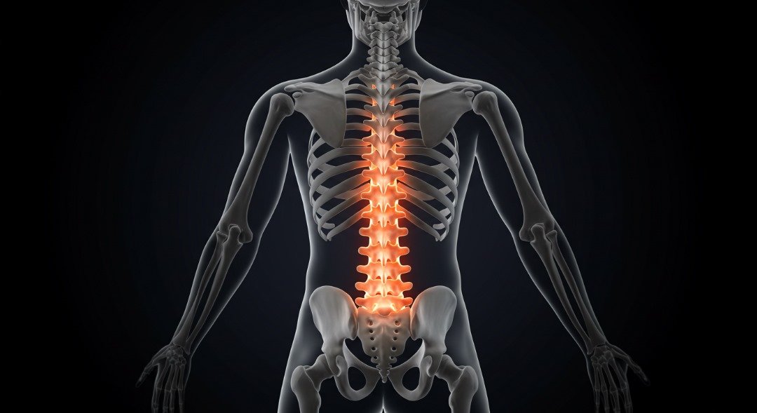 Spine & Back Care