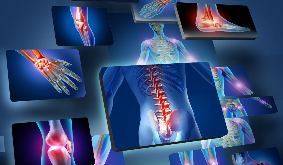 Orthopedic Science