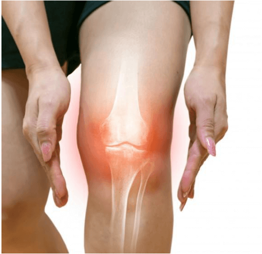 Knee Rehabilitation