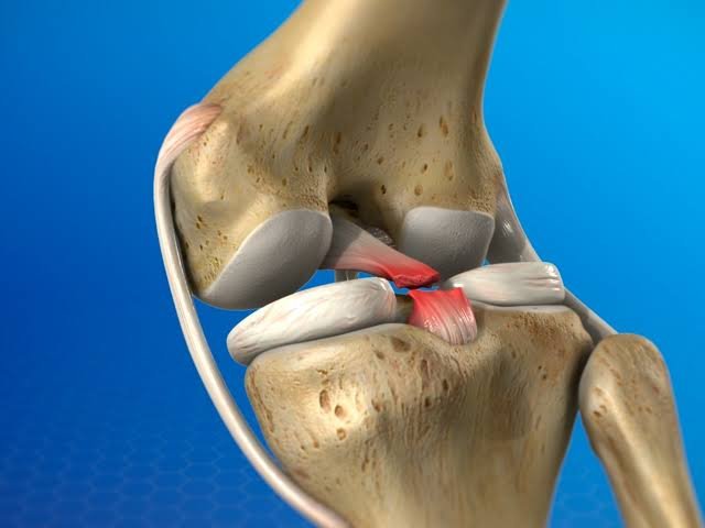 Knee ligament anatomy and injury mapping