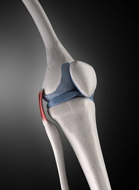 Advanced knee diagnostic visualization
